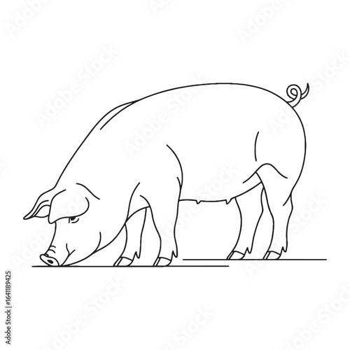 Gentle Pig Line Art – Pig Vector Outline Drawing with Simple Artistic Touch – Pig Drawing – Vector of Pig – Pig Outline

