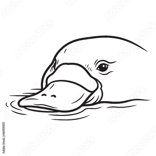 Stylized Wildlife Platypus Line Art – Platypus Vector Illustration Elegant Drawing with Sleek Shape – Platypus Drawing – Line Art Drawing of Platypus – Platypus Icon

