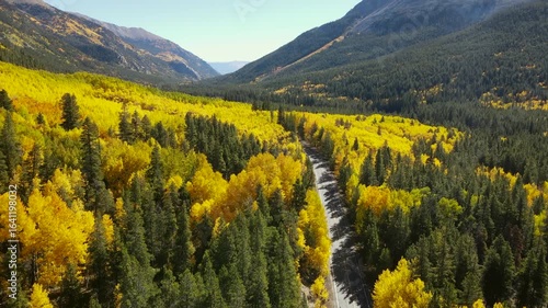 Aerial drone footage along rural road through the yellow and green aspen tree forest at both sides. Beautiful landscape during fall foliage in Colorado, USA. Scenic autumn road on mountain hill