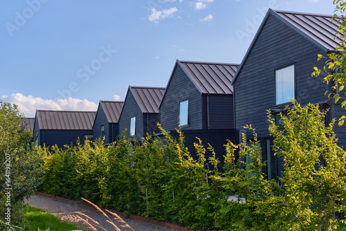 Street with Modern black wooden houses with gabled roofs and green trees in Viken, Sweden, under a bright summer sky