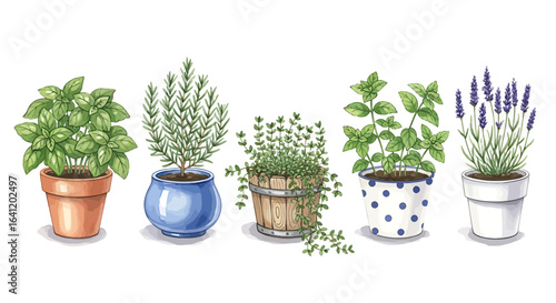 Five vibrant potted herbs arranged, showcasing the variety of fresh herbs.