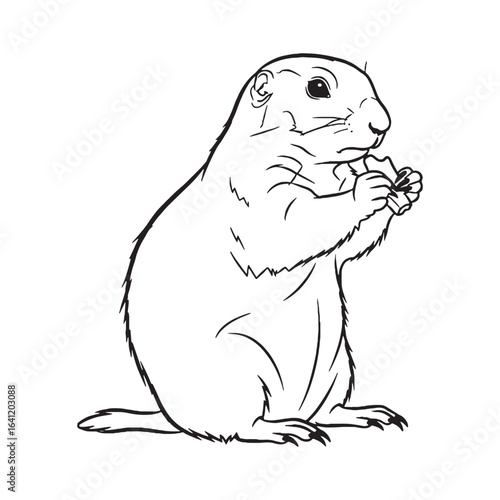 Artistic Prairie Dog Line Art – Prairie Dog Vector Illustration Fine Drawing with Modern Contours – Prairie Dog Drawing – Line Art Drawing of Prairie Dog – Prairie Dog Icon

