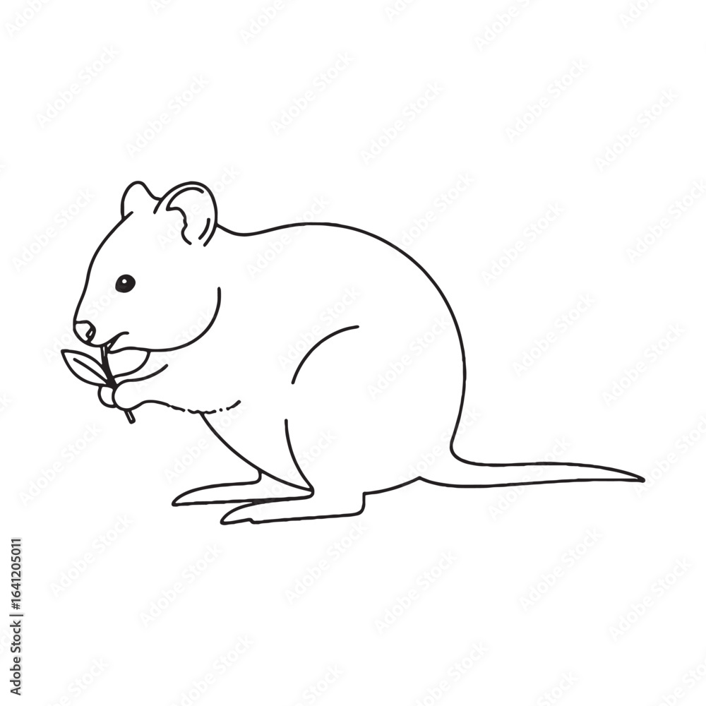 Obraz premium Stylish Quokka Line Art – Quokka Vector Illustration Balanced Drawing with Clean Design – Quokka Drawing – Line Art Drawing of Quokka – Quokka Icon