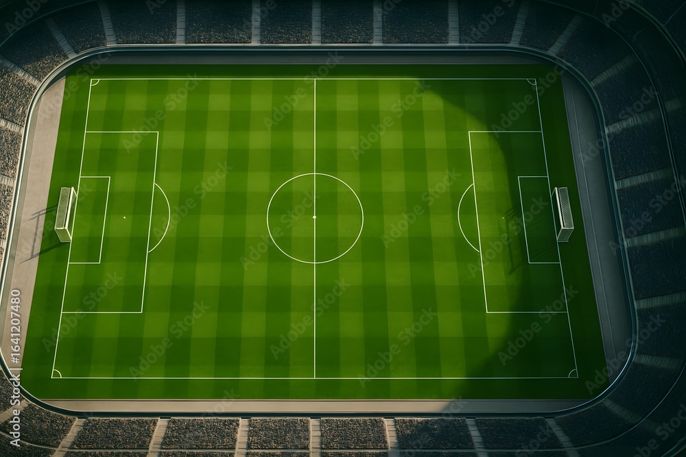 Obraz premium soccer football field