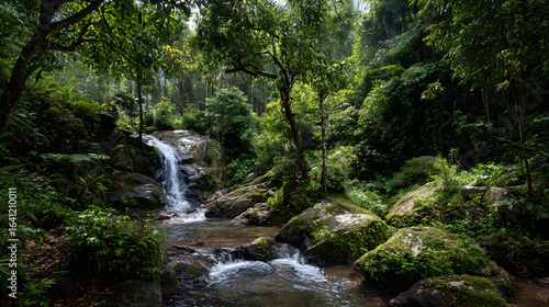 Tropical Forest with Waterfall