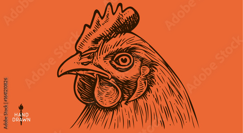 Chicken, farm hen sketch. Hand drawn. Vintage retro print hen, black drawing chicken, engrave old school style. Sketch artwork silhouette rooster, chicken, hen, white background. Vector Illustration