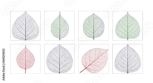 Visual representation of leaf anatomy and growth patterns demonstrating botanical science and natural phenomena