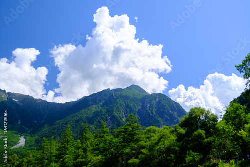 夏の上高地