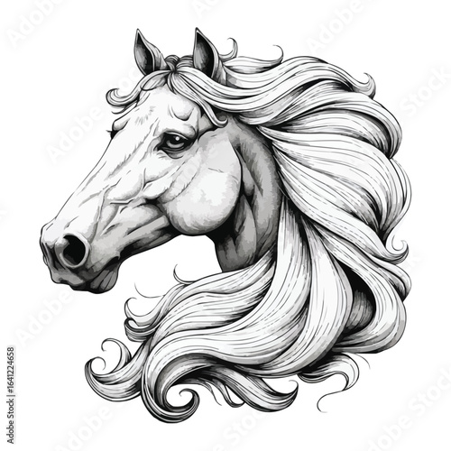 Detailed Horse Head Vector Illustration