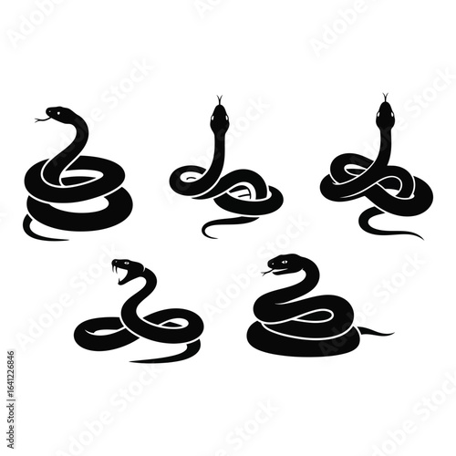Vector art of collection of snake illustrations isolated on white