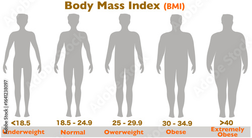 Body mass index, BMI. Obese, underweight,  normal, overweight man body.. Gray silhouettes weights. Vector illustration