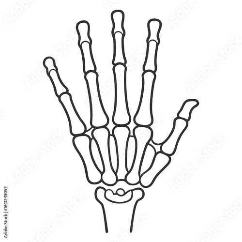 Minimal Line Art Hand Skeleton Illustration
