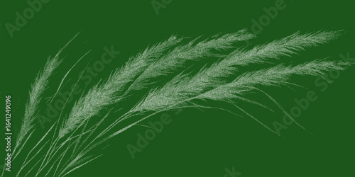 Green print with herbs. Monochrome shape with spray grain texture, faded ink lines and paper scratch noise. Subtle threshold transitions.