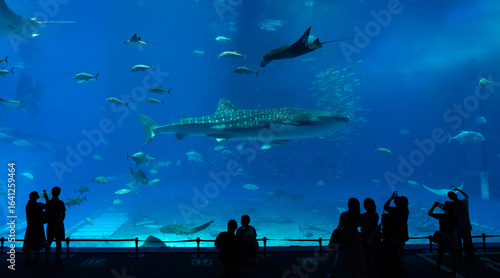 沖縄美ら海水族館　回遊魚たちが泳ぐダイナミックな黒潮の海と、それを眺める人々のシルエット