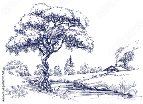 Country landscape with a tree on a small river drawing