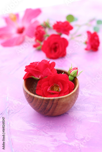 vibrant pink hibiscus flower still life with roses and stems on pink valentine background