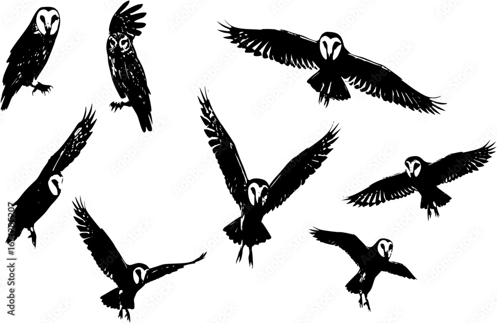 Obraz premium owl silhouettes