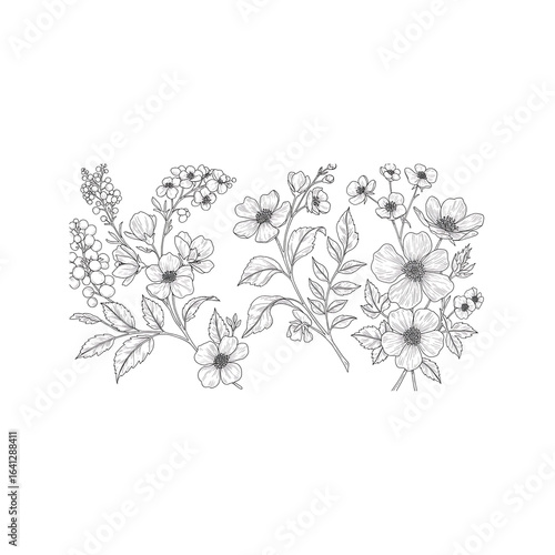 Floral Illustration in White Line Art Style on Black Background Delicate Flowers and Leaves for Design Projects