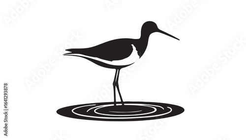A wild black-crowned night heron, a majestic black and white bird, with its beak wading through the water