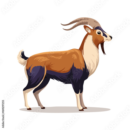 Illustration of a male goat, brown, black, and white with long horns and beard, standing in profile on a white surface with black background.