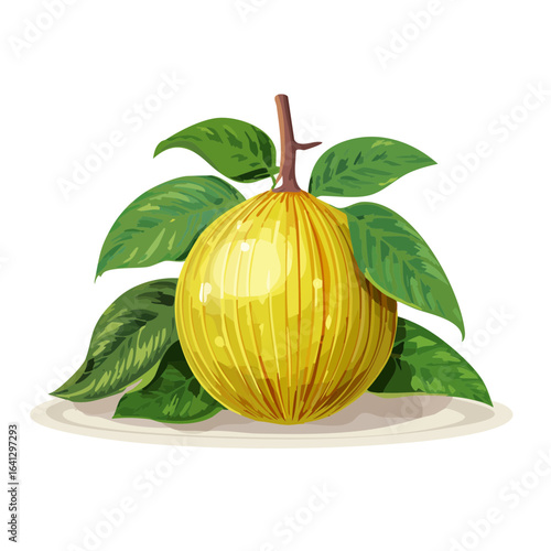 Illustration of santol fruit with leaves on a plate Tropical fruit composition still life