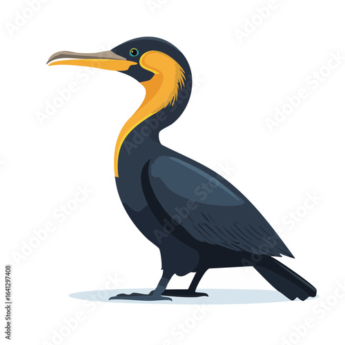 Isolated cormorant vector illustration a sleek dark bird with yellow plumage detail wildlife avian species standing design element