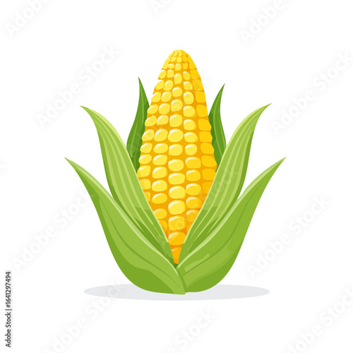 Ripe ear of corn with husk leaves Fresh yellow sweetcorn harvest Organic healthy food ingredient vegetarian plant-based meal