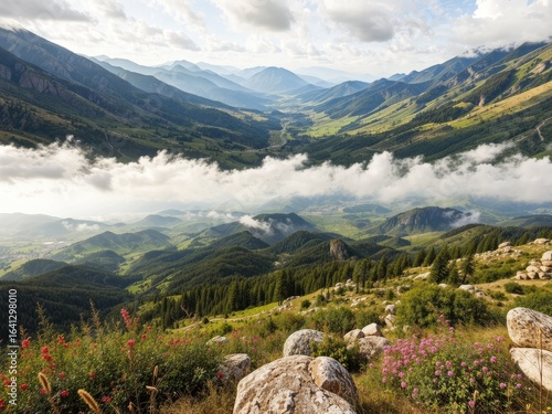 Summer Nature in Georgia - Panoramic View