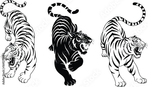 Tiger tattoo design, roaring tiger illustration, wild animal vector art, black and white tiger graphic, fierce predator drawing, traditional Asian style tiger artwork illustration