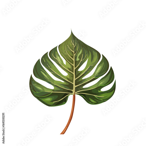 Isolated Monstera Leaf Green Tropical Plant on Black Background Botany Exotic Foliage Nature Botanical Illustration Pattern Element