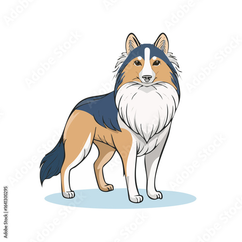 Illustration of a collie style dog standing and looking forward on a black background.