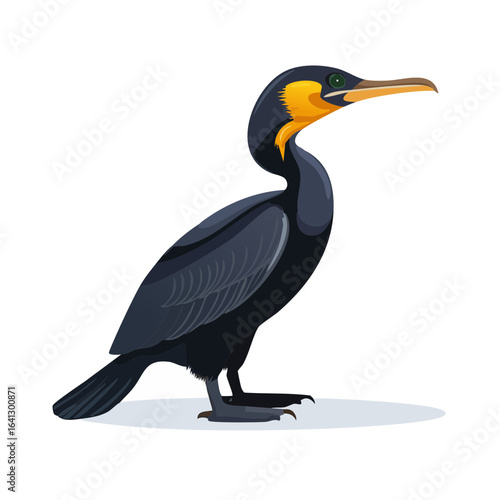 Black Cormorant bird illustration standing tall elegant neck yellow throat feathers avian wildlife dark seabird