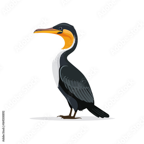 Cormorant bird illustration standing elegant dark plumage aquatic avian wildlife birding icon fauna vector animal design