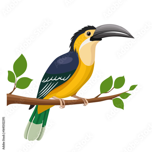 Colorful Toucan Bird Illustration Perched on Branch with Green Leaves, Tropical Wildlife Art