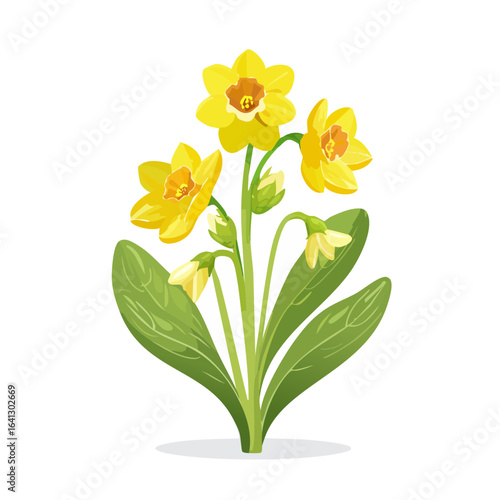 Wallpaper Mural Illustration of Yellow Daffodils with Green Leaves on Black Background Torontodigital.ca