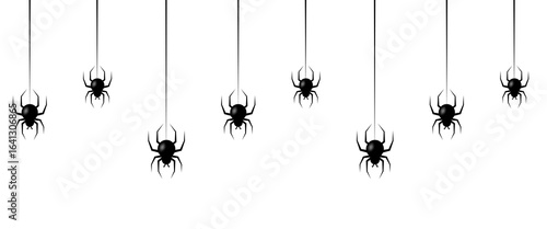 Black spiders hanging web
