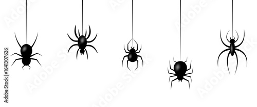 Halloween spiders hanging on web