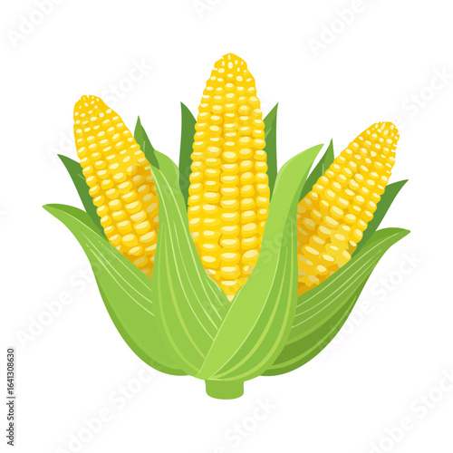 Three ears of sweet corn with green husks on black background illustration of fresh yellow corn