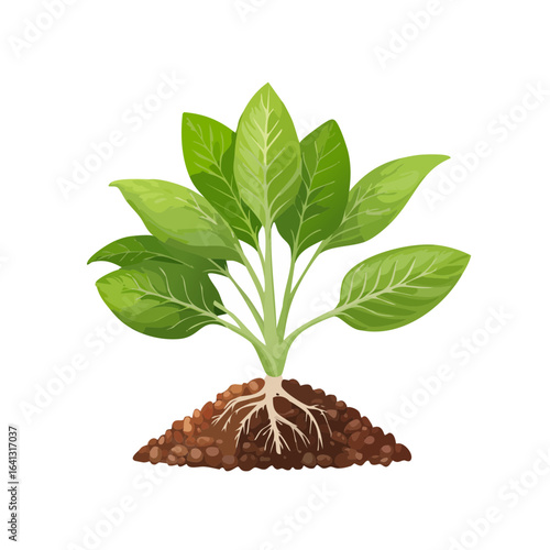 Sprout with roots growing in soil illustration plant with leaves seedling growth new life beginnings