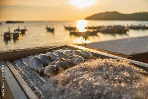 Fresh Local Seafood Display at Beachside Market with Longtail Boats during Golden Hour Sunset