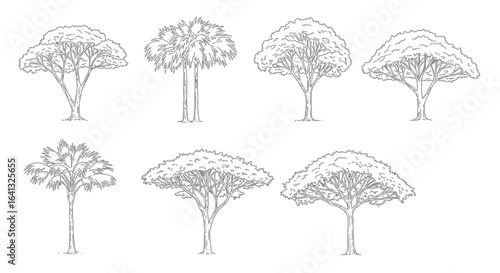 Monochrome trees vector set with tropical and temperate varieties depiction