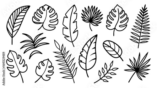 Tropical leaves line art bundle, Outline botanical vector icons including monstera, palm, banana, fern, palm fan silhouettes