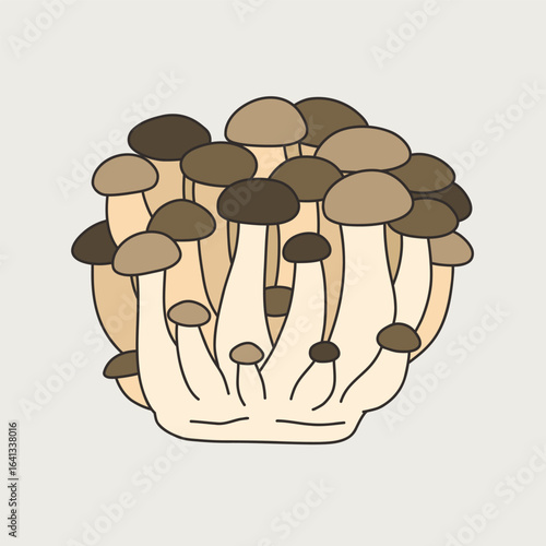 Shimeji Mushroom Cluster minimalist style with outline Illustration Autumn Theme Isolated Vector