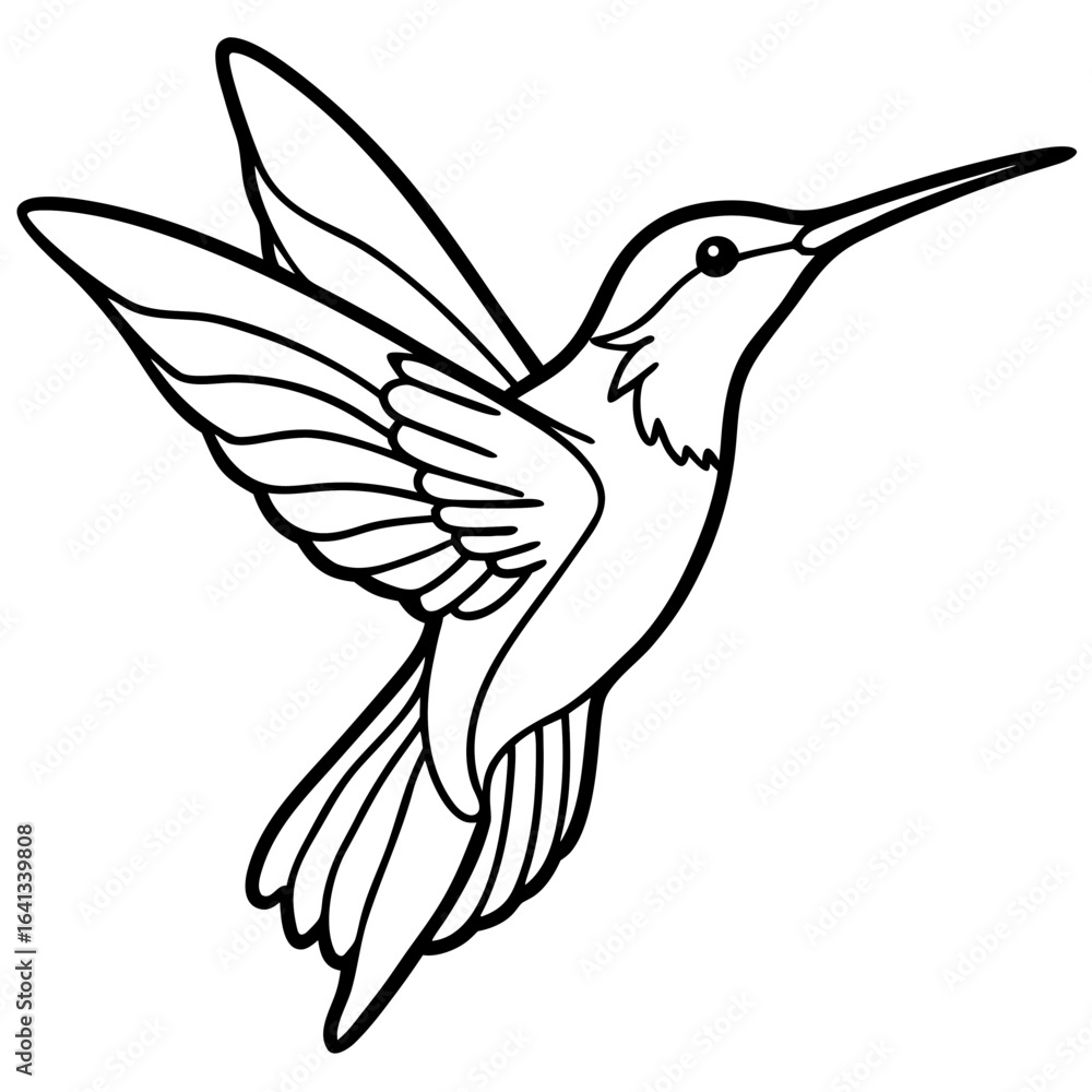 Fototapeta premium Hummingbird Vector Illustration