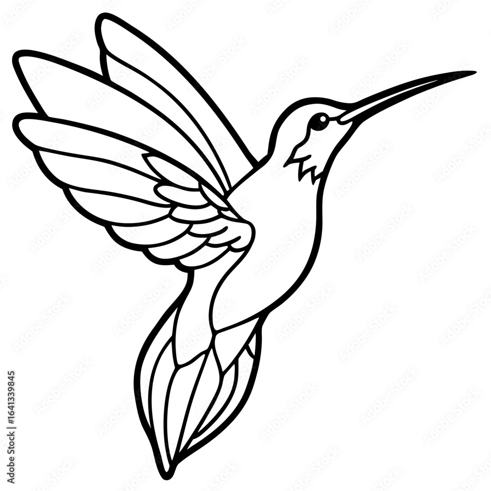 Obraz premium Hummingbird Vector Illustration