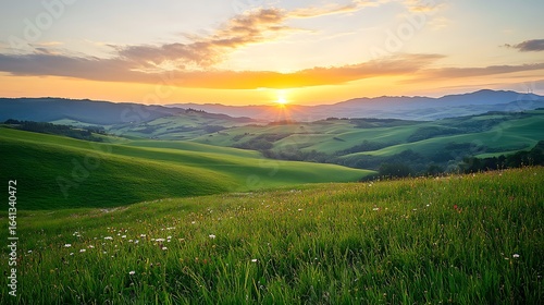 Rolling Green Hills at Sunrise with Meadow and Sky