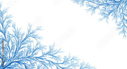 Frosty blue foliage adorns corners on a white canvas evoking winters chill