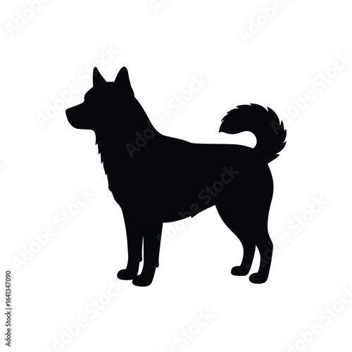 Silhouette of a siberian husky dog standing, isolated on white background