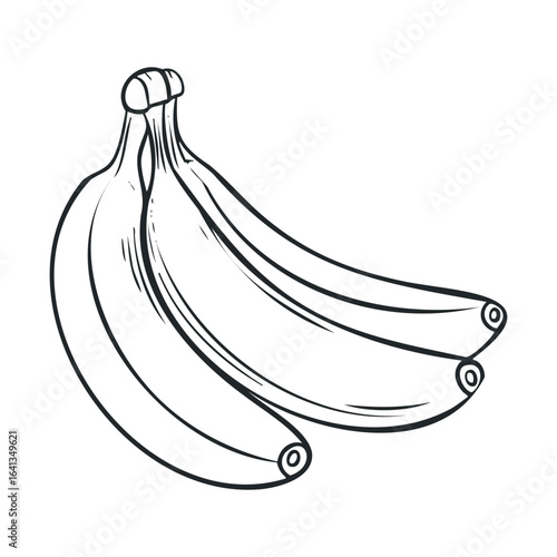 Fresh bananas ripe for healthy snacking and culinary use