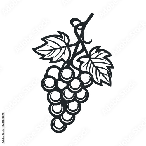Grapevine design for wine lovers and food enthusiasts